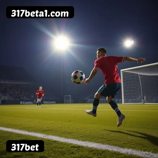 6 vantagens exclusivas do programa VIP da 317bet