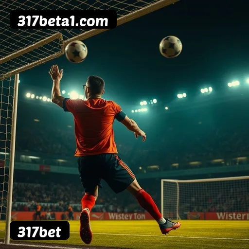 Níveis do programa VIP da 317bet